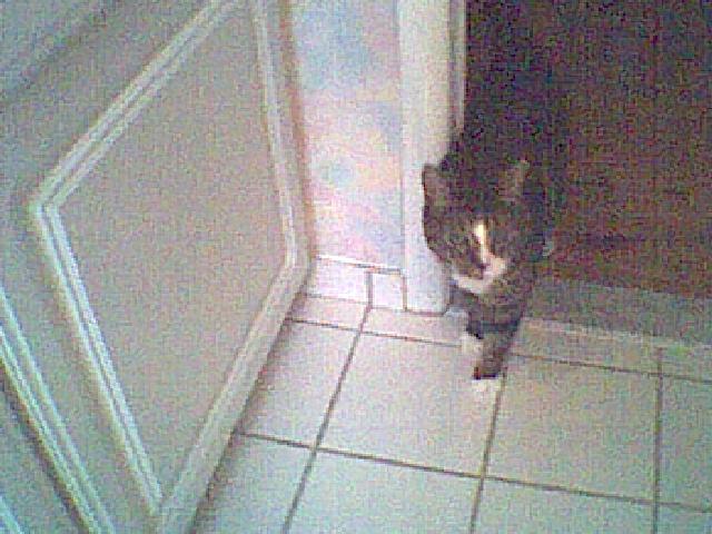 img048.jpg