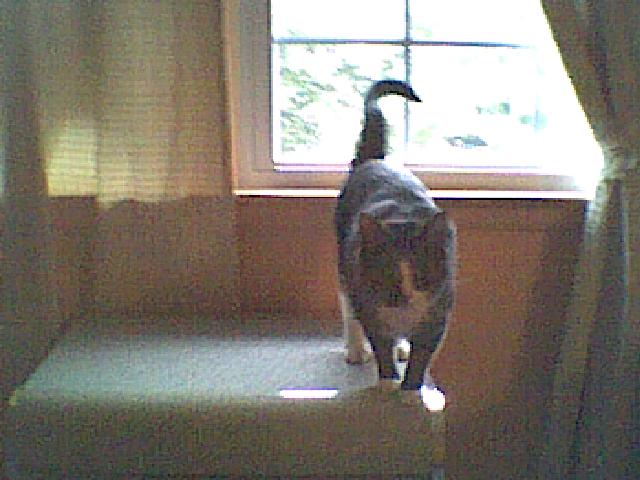 img054.jpg