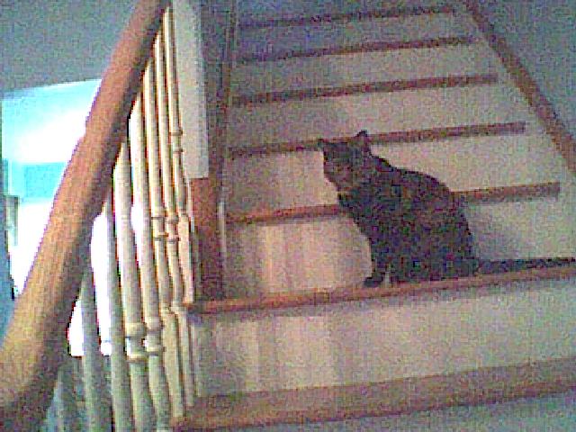 img061.jpg