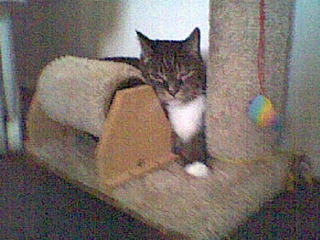 img062.jpg