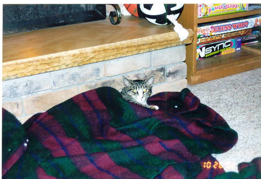 tigger1.jpg