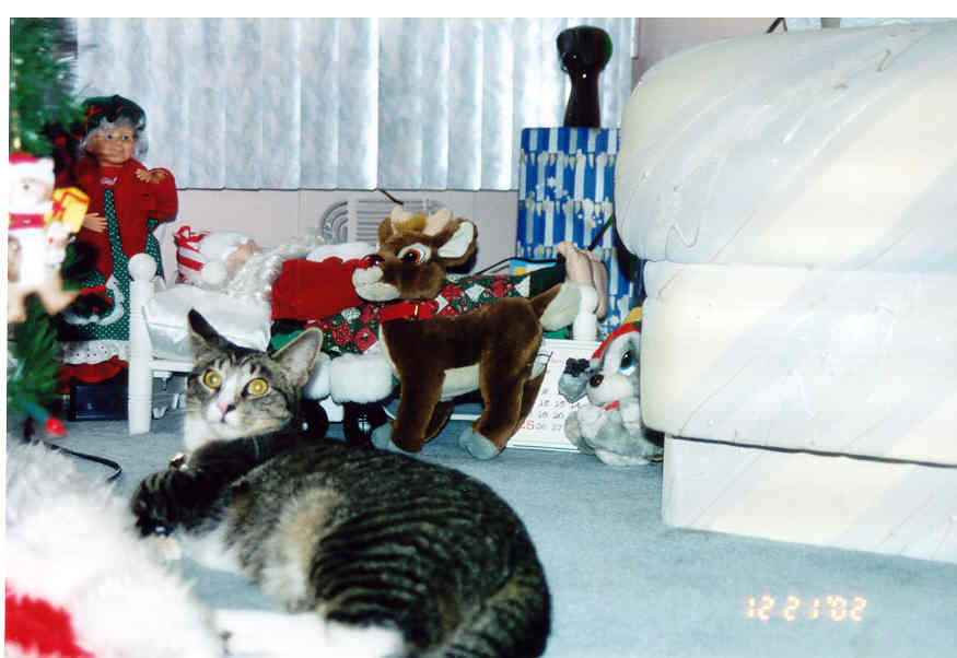 tixxmas.jpg